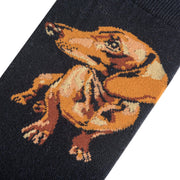 Dachshund Women's Crew Socks