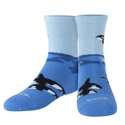 Free Willy Little Kids Crew Socks