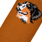 Bernese Women's Crew Socks