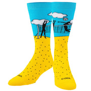 Beach Volleyball Men's Crew Socks