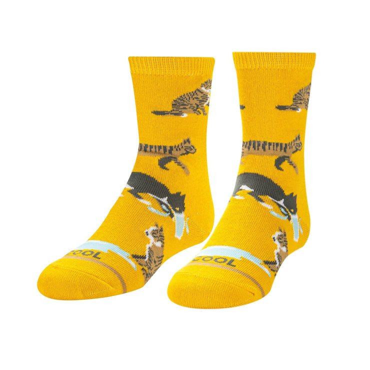 Cats Being Cats Little Kids Crew Socks