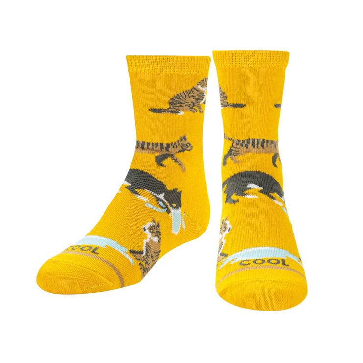 Cats Being Cats Little Kids Crew Socks