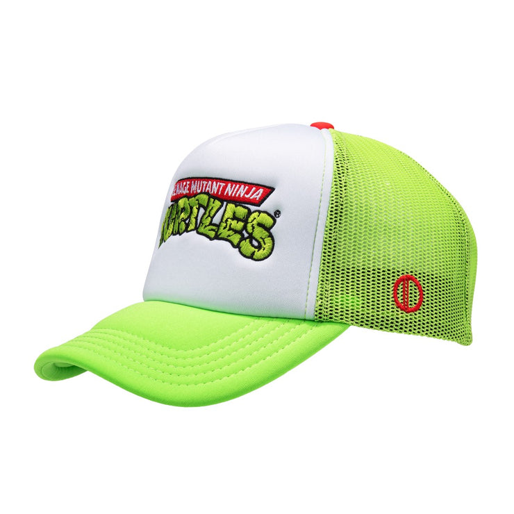 TMNT Logo