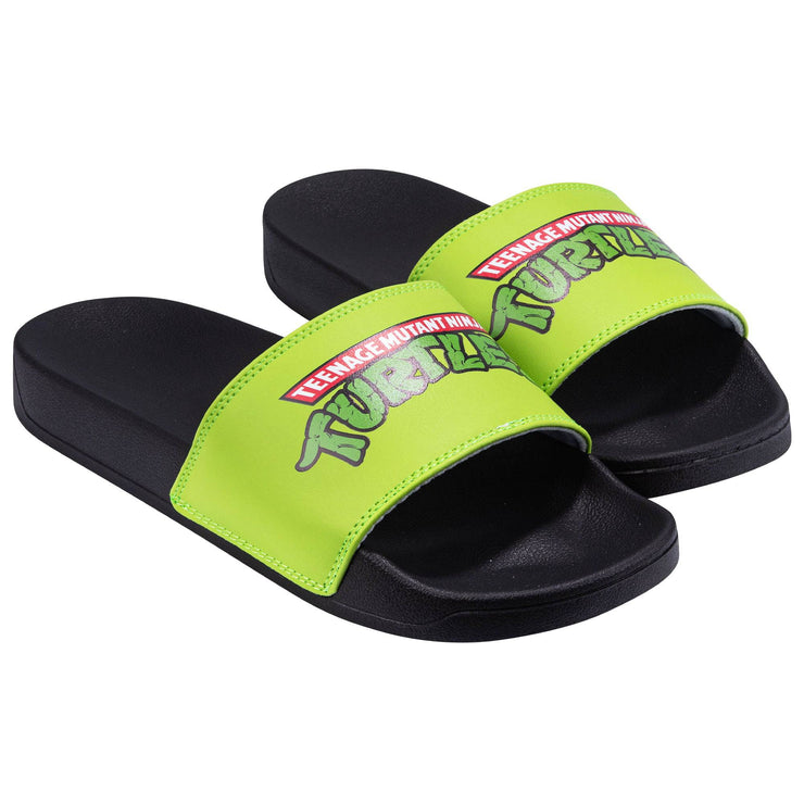 TMNT Slides