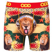 Lions High Fashion  Men's Boxer Briefs