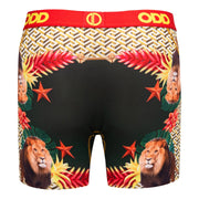 Lions High Fashion  Men's Boxer Briefs